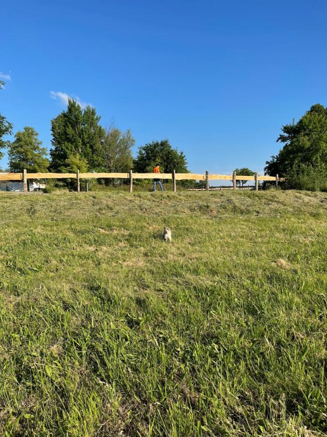 Naturnahes, neu möbl.Apartment, hundefreundlich Neu Gaarz Exterior foto