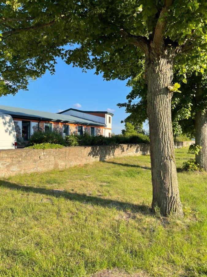 Naturnahes, neu möbl.Apartment, hundefreundlich Neu Gaarz Exterior foto